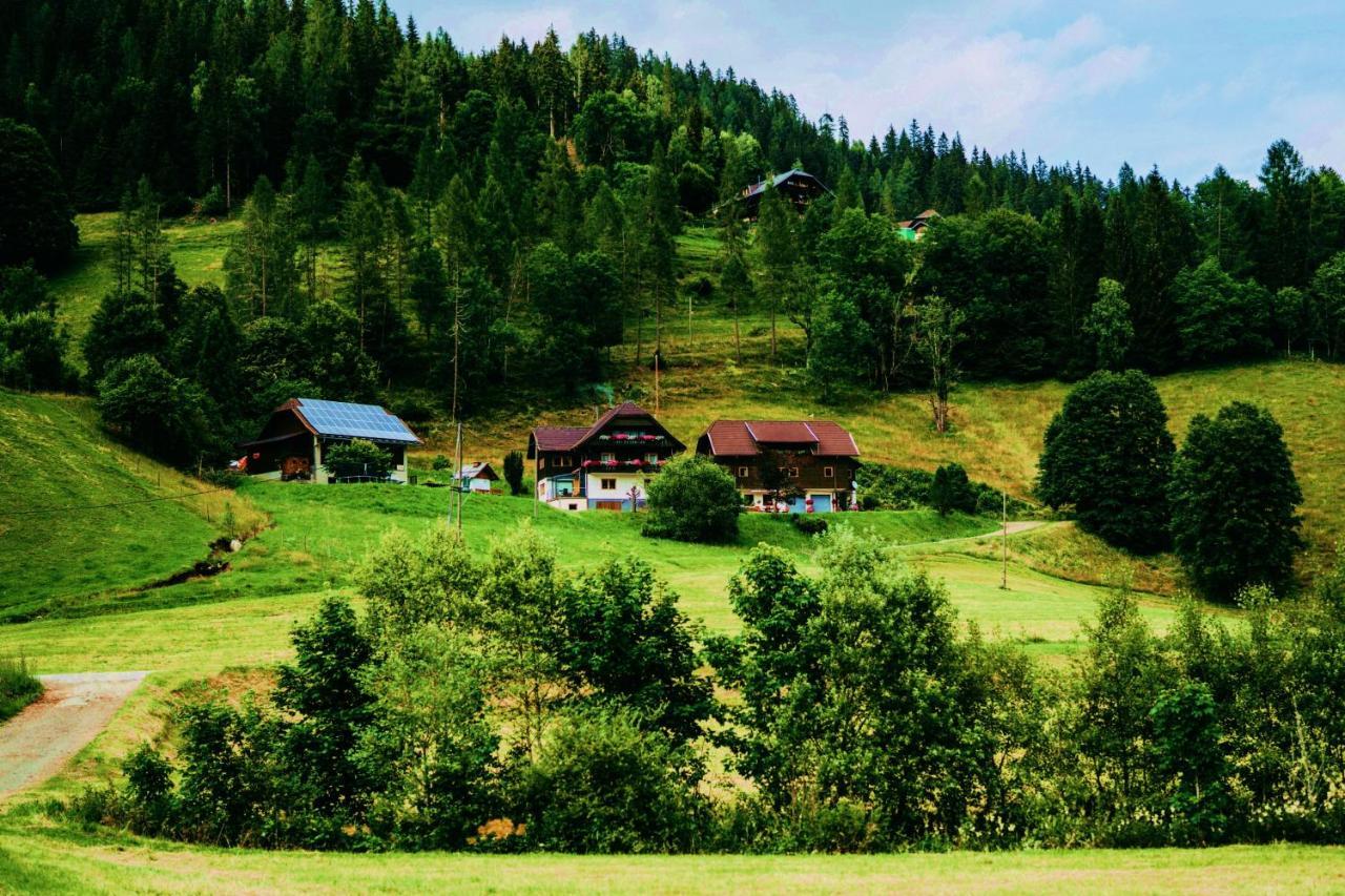 Appartement Vidmar-Wintertraum Arriach エクステリア 写真