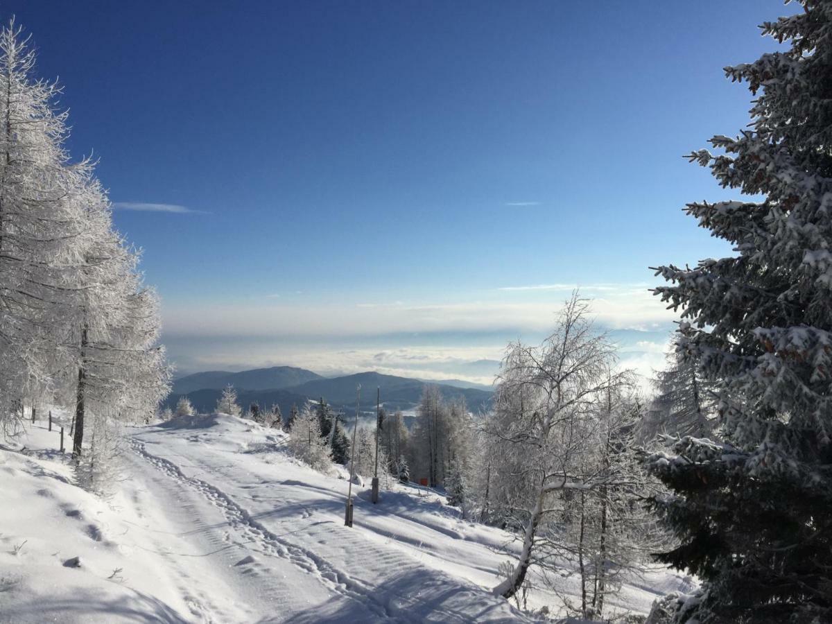 Appartement Vidmar-Wintertraum Arriach エクステリア 写真